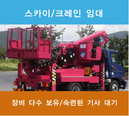 스카이 왕건