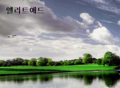 엘리트애드